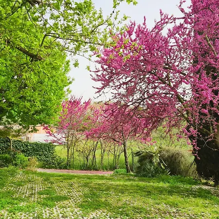 アパート Il Parco - Locazione Turistica *